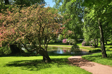 Fototapeta na wymiar Slottsparken - Palace Park in Oslo. Norway