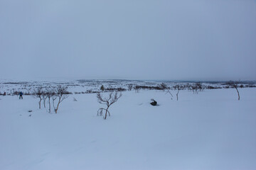 Winter landscape in Nuorgam, Lapland, Finland