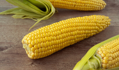 corn cob on a wooden background. Ripe and fresh Zea mays, forage and food annual herbaceous plant. Freshly picked cobs are ready to eat. corn grains are used for making salads and dishes