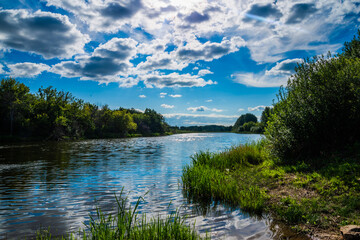 Fototapeta premium lake in the forest