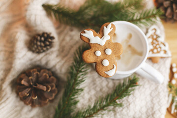 Obraz na płótnie Canvas Christmas reindeer gingerbread cookie on aromatic coffee on background of cozy knitted sweater