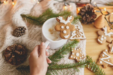 Hand holding warm coffee with christmas reindeer gingerbread cookie. Happy Holidays!