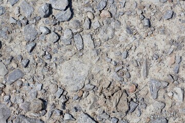 A close view of the rocky surface in the sunlight.
