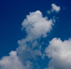 The white cloudscape in the blue sky.