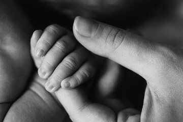 Portrait of beautiful little hand with tiny fingers of adorable newborn baby girl, in caring mother arms, happy family moments, birth and childhood concept
