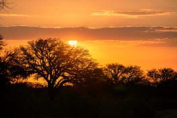Fototapeta na wymiar African savannah sunset