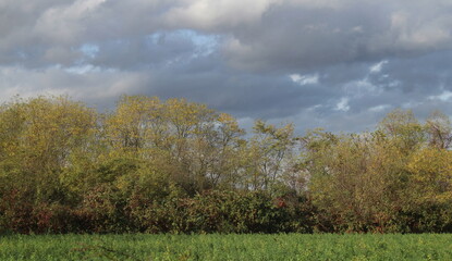 Paesaggio naturale di campagna in una giornata nuvolosa in Autunno