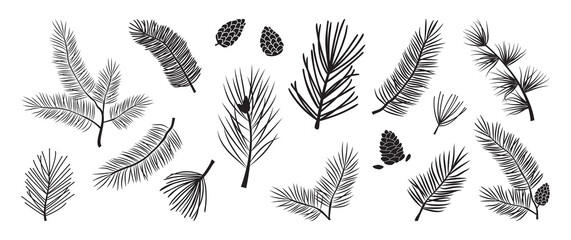 Christmas tree vector branches, fir and pine cones, evergreen set, holiday decoration, black winter symbols isolated on white background. Nature illustration