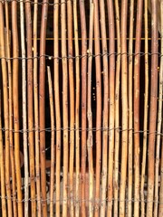Bamboo sticks tied into a fence.