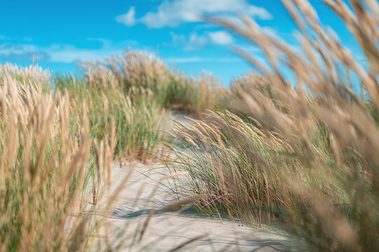 Strand an der dänischen Nordseeküste