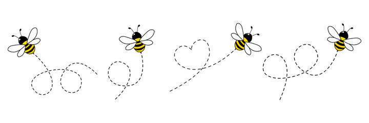 Fototapeta Cartoon bee icon set. Bee flying on a dotted route isolated on the white background. Vector illustration. obraz