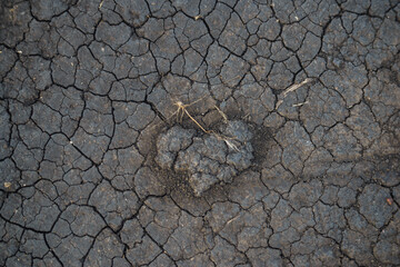 cracked earth heart