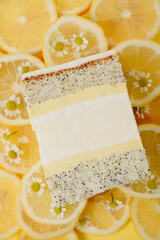Slice of cake in the section on the background of fruit