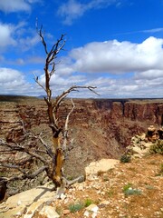 North America, United States, Arizona, Little Colorado Navajo Tribal Park