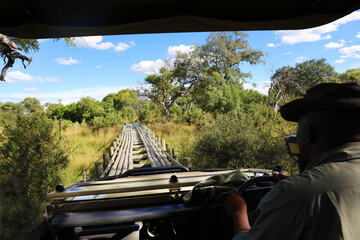 Driving in a safari truck over a wooden bridge in the Okavango Delta in Botswana, Africa. 