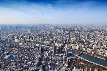 Fototapeta na wymiar Vast city - Tokyo, Japan