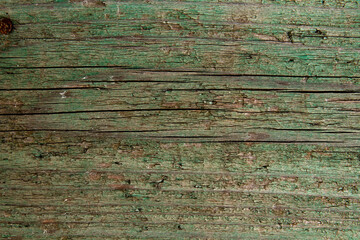 Green wood background