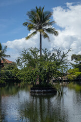 Fototapeta na wymiar Palm tree in the middle of the pond. Beautiful tropical landscape. Water reflection. Natural background. Blue sky with white clouds. Vertical layout. Bali