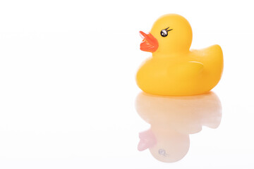 single yellow toy rubber duckling, reflected in glass surface isolated on white background. Minimal style. copy space