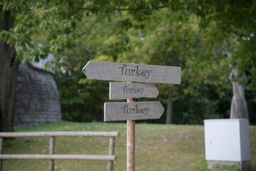 turkey
