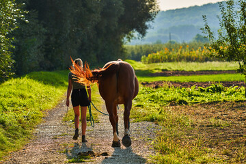 girl and horse with ponytail in the sunlight