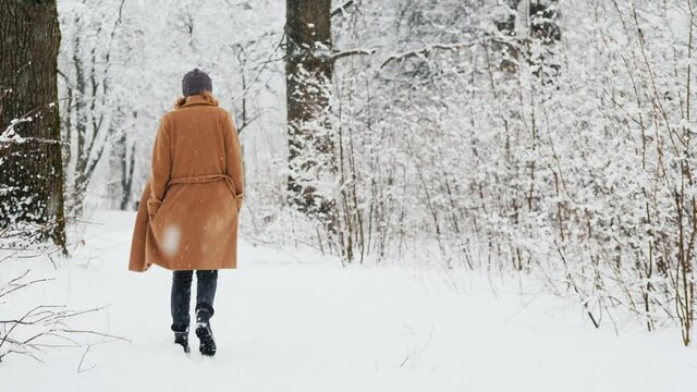 Back view of Stylish middle-aged woman walks in snow park