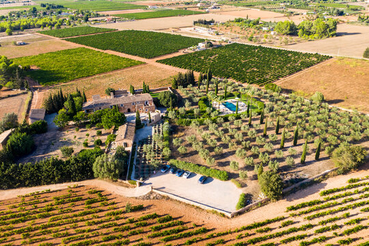 Aerial view, agriculture with olives and fields around santa Eugenia and Santa Maria, center of the island, Mallorca, Balearic Islands, Spain