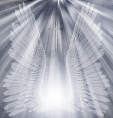 White wings and cross. 3D rendering