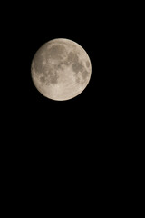 中秋の名月