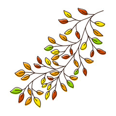 Vector of a autumn birch tree branch. Hand drawn leaves and branch isolated on white. Doodle birch autumn leaves for design. Vector illustration. Botanical print. Organic natural shape