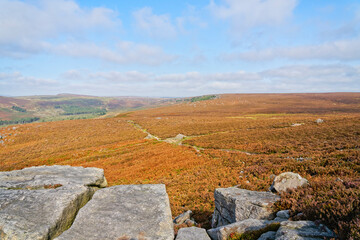 Autumn colours cover Hathersage Moor on a misty morning