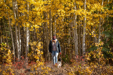 Woman walking with cat on a leash through fall colored surrounding yellow trees in September. 
Taken in northern Canada. 