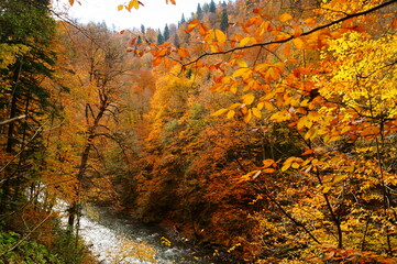 autumn in the Caucasus