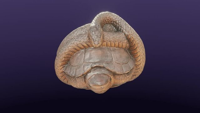 Late 18th or 19th century CE carved wooden netsuke of a snake wrapped around a turtle, cg, camera orbits