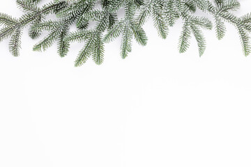 Christmas composition fir tree branches on white background.