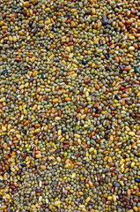 Beautiful portrait view of mixture of pulses