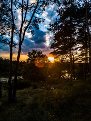 Fototapeta premium sunset in the forest