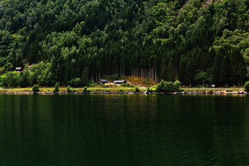 Cabins surrounded by woods on the shore of a fjord in Norway
