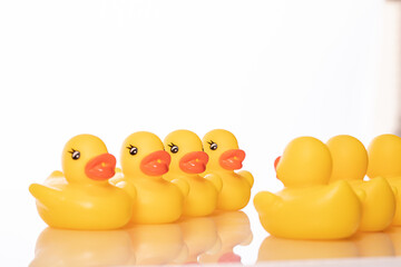 Two groups of yellow rubber ducks stand in line wall to wall, isolated white background. Ducklings bath toys. Negotiation, conflict, opposition, confrontation, competition, battle concept. Copy space