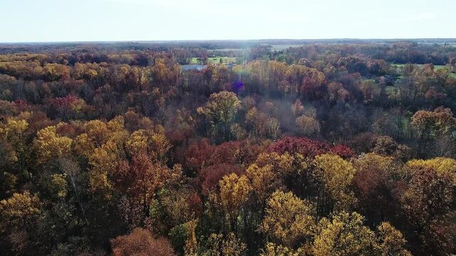 Spectacular fall colors shown in an epic cinematic shot