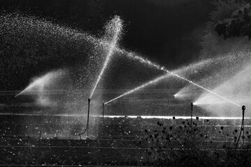 acqua