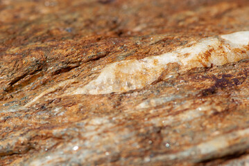 Alpine close-up grunge stone or rock texture