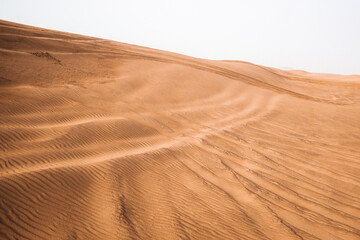 sand dunes in the desert