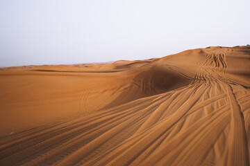 sand dunes in park that are driven over with deep grooves