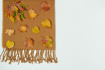 autumn flat lay with scarf and leaves on white