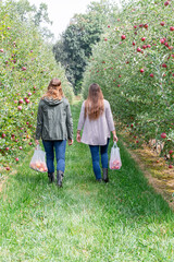 two young women walking down a row of apple trees