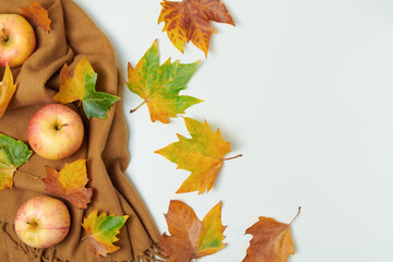 autumn flat lay on white