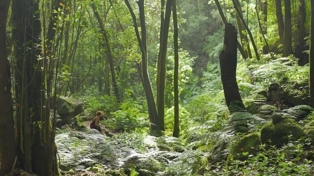 A slow panning of a rainforest. In the background there is a woman taking pictures with her phone