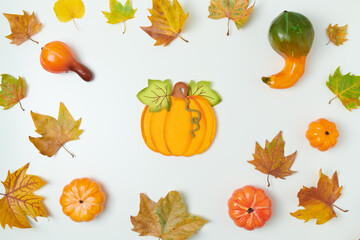 autumn background on white