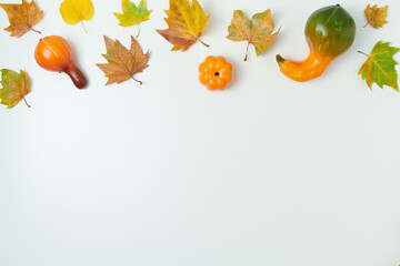 autumn background on white